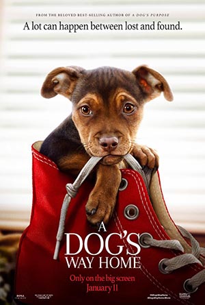 A Dog's Way Home (2019) poster